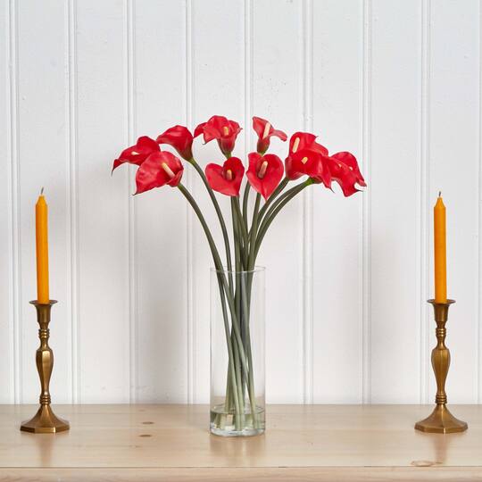 20" Mini Calla Lily Arrangement in Tall Vase, Red